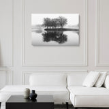 "New Life" - Lens of Nature