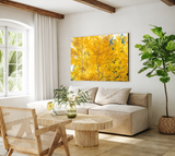 "Explosion" - Lens of Nature Series