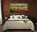 "Autumn Row" - Lens of Nature