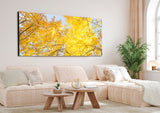 "Aspen Corner" - Limited Edition - HD Metal Print