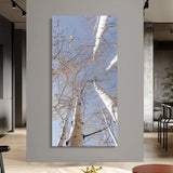 "Rise" - Lens of Nature