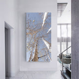 "Rise" - Lens of Nature