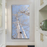 "Branch and Light" - Lens of Nature