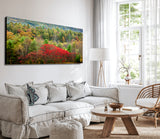 "Autumn Row" - Lens of Nature