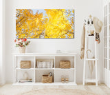 "Aspen Corner" - Limited Edition - HD Metal Print