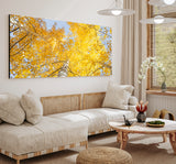 "Aspen Corner" - Limited Edition - HD Metal Print