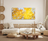 "Aspen Corner" - Limited Edition - HD Metal Print