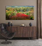 "Autumn Row" - Lens of Nature