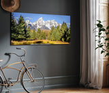 "Jackson Daylight" - HD Metal Print