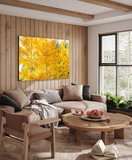 "Explosion" - Lens of Nature Series