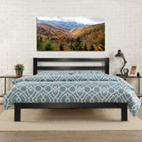 "Golden Peace" - Limited Edition - HD Acrylic