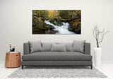 "Natures Flow" - HD Metal Print