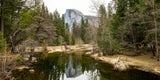 "Afternoon Bridge View" - Yosemite National Park - Metal