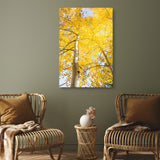 "Aspen View" - Limited Edition - Metal