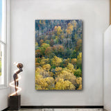 "Smokey Tall View" - HD Metal Print