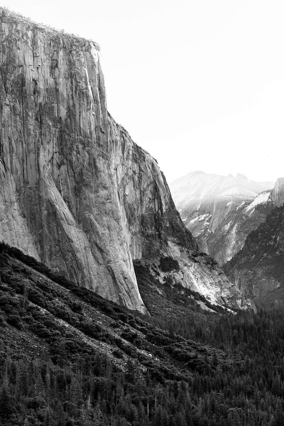 El Capitan Yosemite Fine Art Print, Yosemite National Park Art Photo 2024