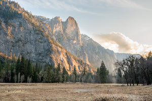"Yosemite Valley View" - Yosemite National Park