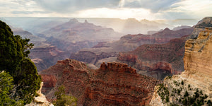 "South Rim Alive" - Grand Canyon NP