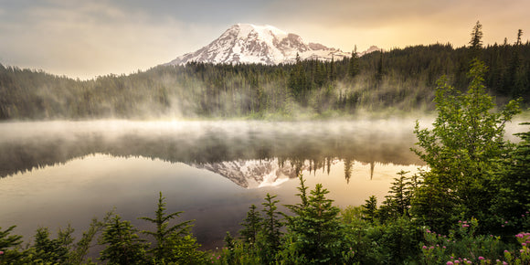 Mount Rainier National Park - Limited Edition